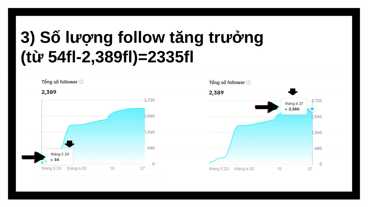ANTA follower growth from 54 to 2,389